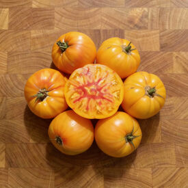 Old German, Tomato Seeds